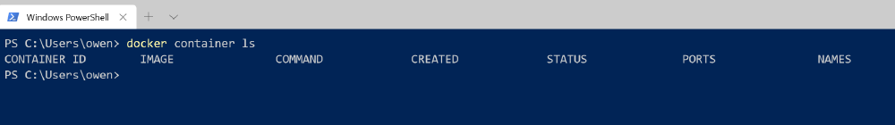 docker container ls